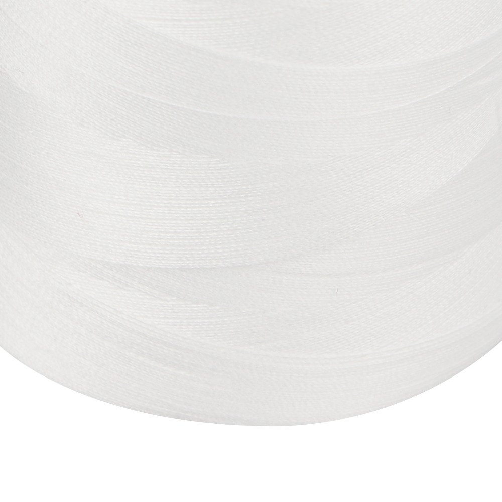 4 Stuks 3000 Yards Elke Serger - Serger Thread Cone recensie en prijs